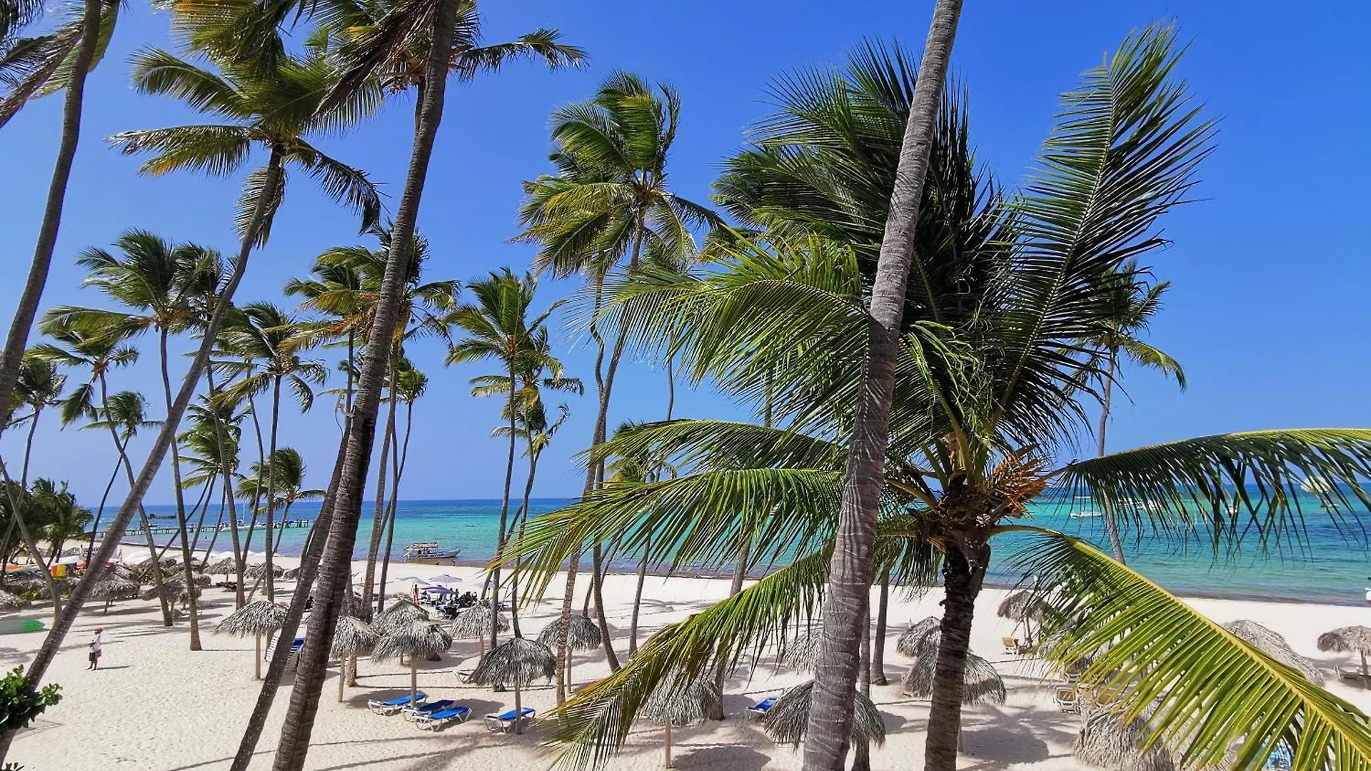 Apartamento Coral Suites Deluxe Playa Los Corales Punta Cana